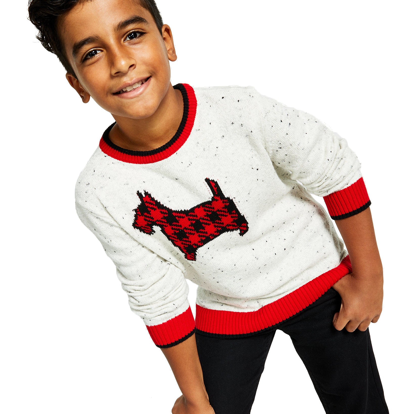 Charter Club Boys Plaid Dog Print Family Sweater Ravishing Red Combo