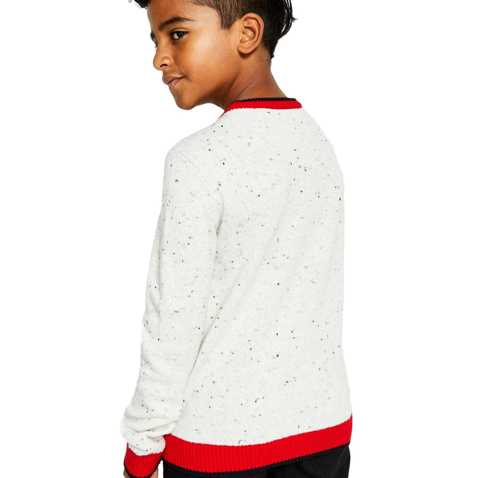 Charter Club Boys Plaid Dog Print Family Sweater