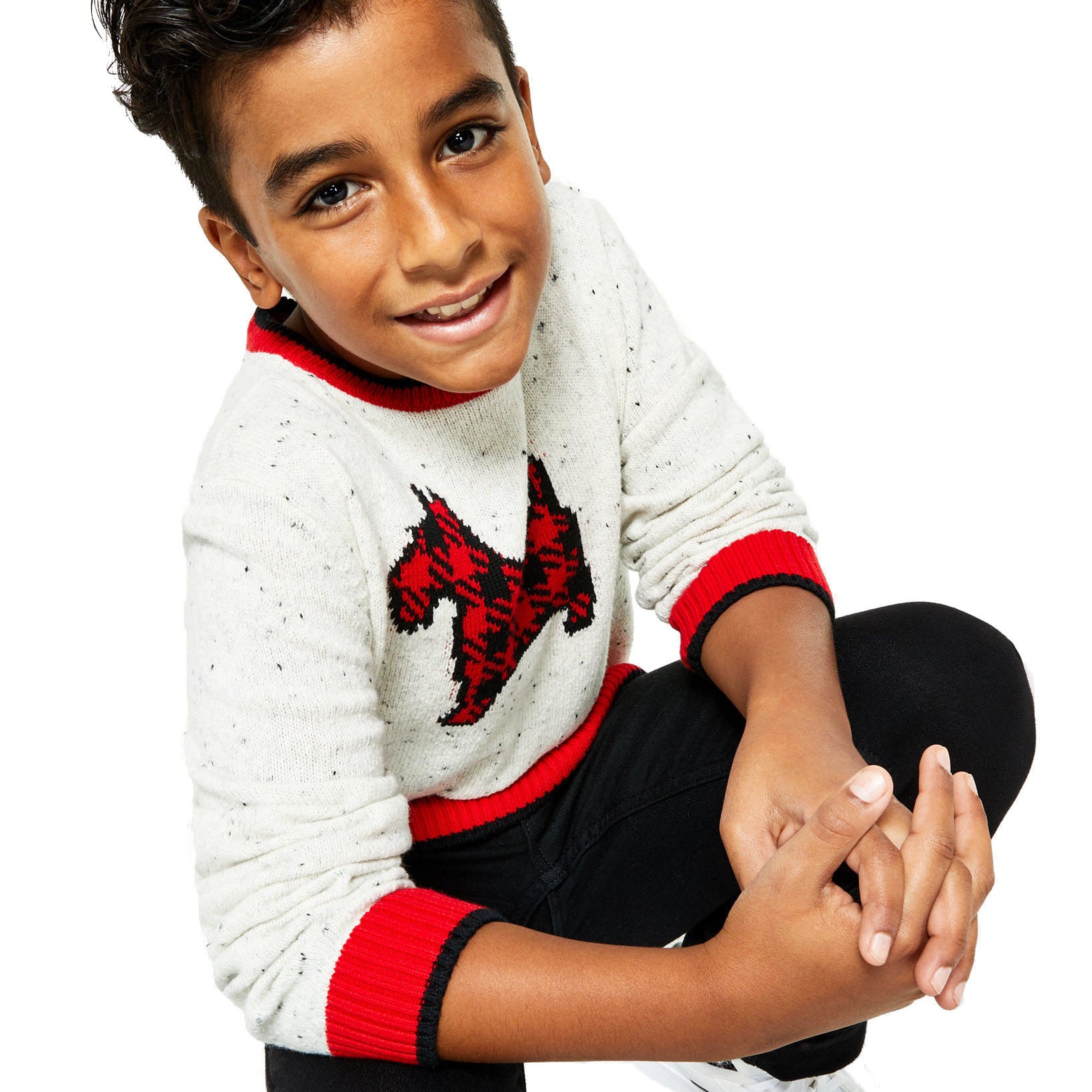 Charter Club Boys Plaid Dog Print Family Sweater